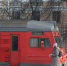 В пригородных поездах Северо-Запада за 2025 год нашли 774 забытые вещи - Петербургский дневник