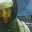 Житель Ленобласти ответит в суде в Петербурге за пожар на территории храма и поджог в жилом доме - Neva.Today