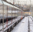 Поезд №078 Симферополь – Петербург опаздывает на 3 часа - Spbdnevnik.ru