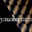 Аэропорт Пулково показал новый логотип, созданный Артемием Лебедевым - Metro Петербург