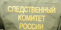 В Петербурге подростки по указке злоумышленников подожгли два автомобиля полицейских - Spbdnevnik.ru