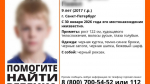 Девятилетний петербуржец разговаривал перед исчезновением с неизвестным: ребенка ищут уже четыре дня