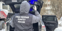 О ходе расследования уголовного дела, возбужденного по факту исчезновения ребенка в Санкт-Петербурге - Следственный комитет