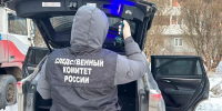 Следственный комитет: Тело 9-летнего мальчика, пропавшего несколько дней назад в Петербурге, нашли в водоеме в Ломоносовском районе - Петербургский формат