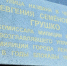 В Красном Селе открыли улицу в честь главного милиционера блокадного Ленинграда - Neva.Today