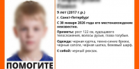 Не доглядели: после убийства мальчика депутат предлагает изменить систему опеки в Петербурге - Neva.Today