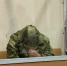 «Раздули воздух из ничего»: в Петербурге убийца 9-летнего мальчика пообщался с журналистами - Neva.Today