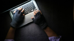 Операторы зафиксировали сокращение числа навязчивых звонков в Петербурге