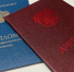 В Молодежный кадровый резерв Петербурга вступили свыше 250 человек за год - Санкт-Петербург.ру