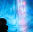 Дмитрий Чернышенко: «Большинство родителей хотят видеть своих детей в связанных с наукой профессиях» - Spbdnevnik.ru