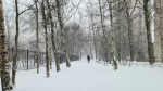 Фото: Олег Золото / MR7