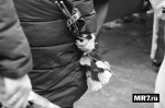 На Южном кладбище прощаются с девятилетним мальчиком