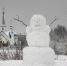 Названы любимые зимние развлечения россиян - Spbdnevnik.ru