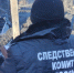 Следком возбудил уголовное дело по трем телам на пепелище дома в Песочном - Neva.Today