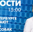 Новости Петербурга к 15:00 - tvspb.ru - ТК Санкт-Петербург