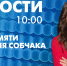 Новости Петербурга к 10:00 - tvspb.ru - ТК Санкт-Петербург
