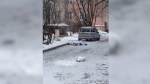 Труп на Севастопольской улице засыпает снегопадом