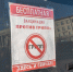 В Петербурге стартовала Неделя поддержания и укрепления иммунитета - Spbdnevnik.ru