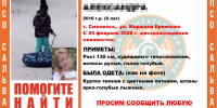 Видео от водителей и проверка телефона. Новые детали в поисках 9-летней девочки в Смоленске - Neva.Today