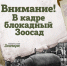 Ленинградский зоопарк продлил работу выставки о блокадном зоосаде до 6 марта - ТК Санкт-Петербург