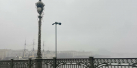 Зима в Петербурге завершится погружением города в густой туман - Neva.Today