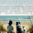 В Библиотеке им. М.В. Фрунзе открылась выставка «Те, кто рядом», посвященная братьям нашим меньшим - Фрунзенский район