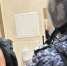 В отеле на Измайловском ловили голого мужчину, желавшего погостить в каждом номере - tvspb.ru - ТК Санкт-Петербург