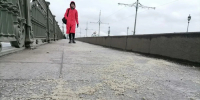 Фото: MR7 - Мой район