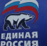 Карелин возглавил федеральный оргкомитет по предварительному голосованию «Единой России» - Spbdnevnik.ru