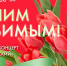 Смотрите завтра праздничный концерт к Международному женскому дню «Нашим любимым!» - tvspb.ru - ТК Санкт-Петербург