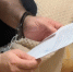 За похищение и избиение петербуржца в лесу задержаны гендиректор фирмы и таксист - Neva.Today