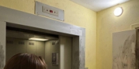 Следователями задержан подозреваемый в убийстве мужчины на территории Ленсоветовский поселка Шушары - Следственный комитет