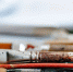 В Музее городской скульптуры открылась выставка «Комната редкостей» | ФОТО laura adai on Unsplash - С.-Петербургские ведомости
