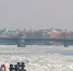 В Петербурге потеплеет до +14 - ГТРК Санкт-Петербург