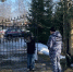 В Петербурге задержали 23-летнего шумахера на Exeed: он чуть не сбил пешехода и протаранил ворота частного дома - Neva.Today