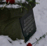 Фото: Дарья Дмитриева / МР7 - Мой район