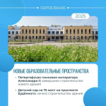 Нацпроект «Молодёжь и дети» и губернаторская программа помогают Петродворцовому району лидировать в сфере образования