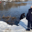 Нашли двух из трех, оба мертвы: в Звенигороде продолжаются поиски пропавших детей - Neva.Today