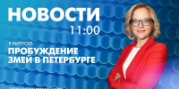 Новости Петербурга к 11:00 - tvspb.ru - ТК Санкт-Петербург