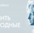 Фестиваль, ярмарка и коньки: куда бесплатно сходить в Петербурге в выходные — 31 января и 1 февраля - tvspb.ru - ТК Санкт-Петербург