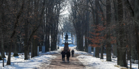 В Санкт-Петербурге 19 марта ожидается до +6 градусов - Spbdnevnik.ru
