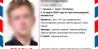 Расчлененное тело 17-летнего парня из Пушкина нашли у ж/д станции спустя 4 дня поисков. Подробности зверского убийства - Neva.Today