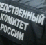 В Санкт-Петербурге возбуждено уголовное дело по факту убийства подростка - Следственный комитет