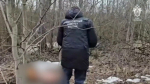Возможный убийца 17-летнего парня из Пушина мог пойти на преступление из-за жалоб своей девушки
