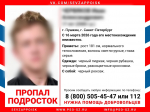 Возможный убийца 17-летнего парня из Пушина мог пойти на преступление из-за жалоб своей девушки