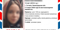 Под Петербургом несколько недель ищут 15-летнюю девочку в розовом - Neva.Today