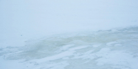 Тело человека нашли в озере Котелево в Ленобласти - tvspb.ru - ТК Санкт-Петербург
