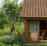 До инвалидности и столбняка: какие опасности угрожают дачникам - Spbdnevnik.ru