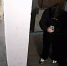Суд вынес приговор участникам поджога у квартиры на Будапештской - ГТРК Санкт-Петербург