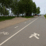 В 2026 году в Нижнем Новгороде появится новая велодорожка - Spbdnevnik.ru